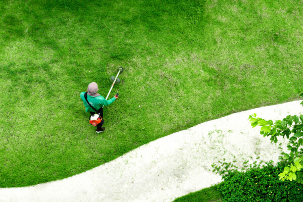 man worker cutting  grass with lawn mower
