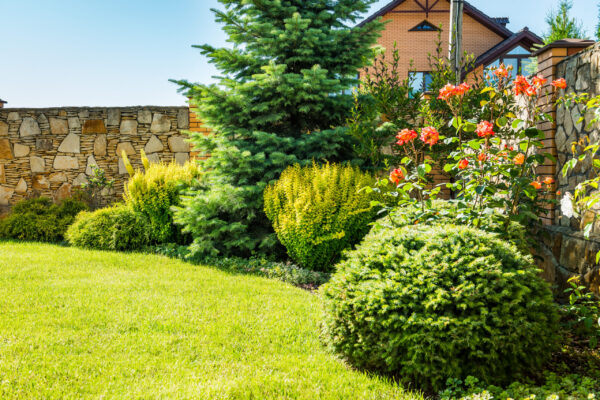 beautiful landscaping with beautiful plants and flowers