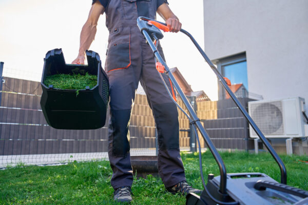 Person emptying grass container of electric lawn mower after grass moving. Man in work overalls working in backyard of suburban house. Concept of gardening, yard care and home maintenance
