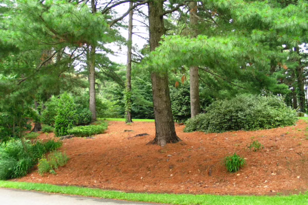 photo-1589657954171-63b556a2cdde